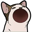 O_