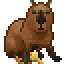 Capybara
