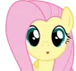 04d_fluttershyooo