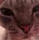 henrystare henrystare