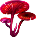 RP_mushrum Discord emoji