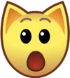 ycatgasp