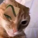 emojicat
