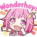 WONDERHOY