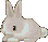 :aes_beigecuterabbit: