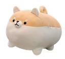 :aes_corgi: