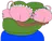 PepeBra