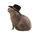 WildwestCapy