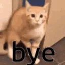 cat_bye