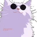 cat_glasses_cool