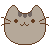 PusheenHead