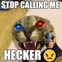 stopcallingbigfloppahecker