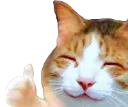 thumbsup thumbsup