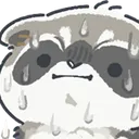 RaccoonSweat