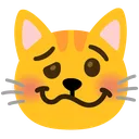 il_gatto_sciocco il_gatto_sciocco