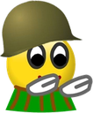 wartimehula Discord emoji