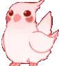 birb