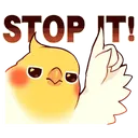 birbspotit birbspotit
