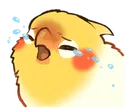 birbcrying
