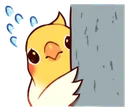 birbscaredpeek