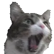 HarryPOG2