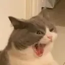 AAAAAAAAAA AAAAAAAAAA