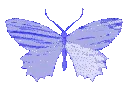 butterfly_purple