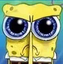 mad_sponge