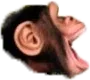 pogchimp pogchimp