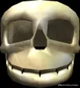 roblcksskull