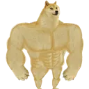 SwoleDoge