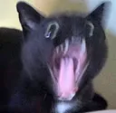 ch_AAAAAAAAA