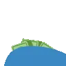 whale1