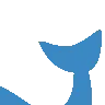 whale2