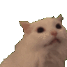 car Discord emoji