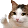 CatThumb