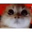 RAGEY