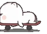 catskate