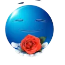 bluerose bluerose