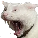 Floyd_AAAAAAAAAAAAAAAA