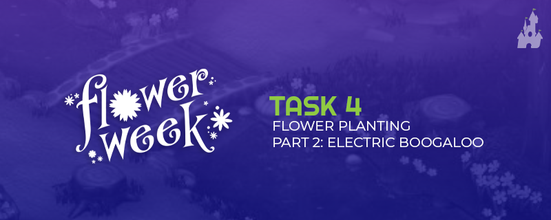 Flower Week Task 4 event cover image