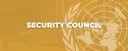 Security Council