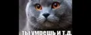 Забанить чикенпакенса