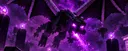 ENDER DRAGON & ELYTRA HUNT EVENT