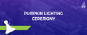 Pumpkin Lighting Ceremony event cover image