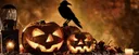 🎃 Хэллоуин с Скворечником