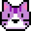 wonk