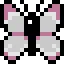 nsqk