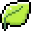 ANUS