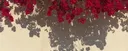 Aliya | lf b2s wonwoo's profile banner